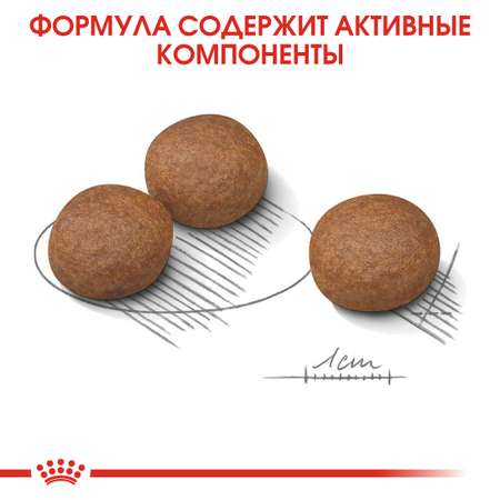 Сухой корм для собак ROYAL CANIN Digestive care 10 кг (лечебный)