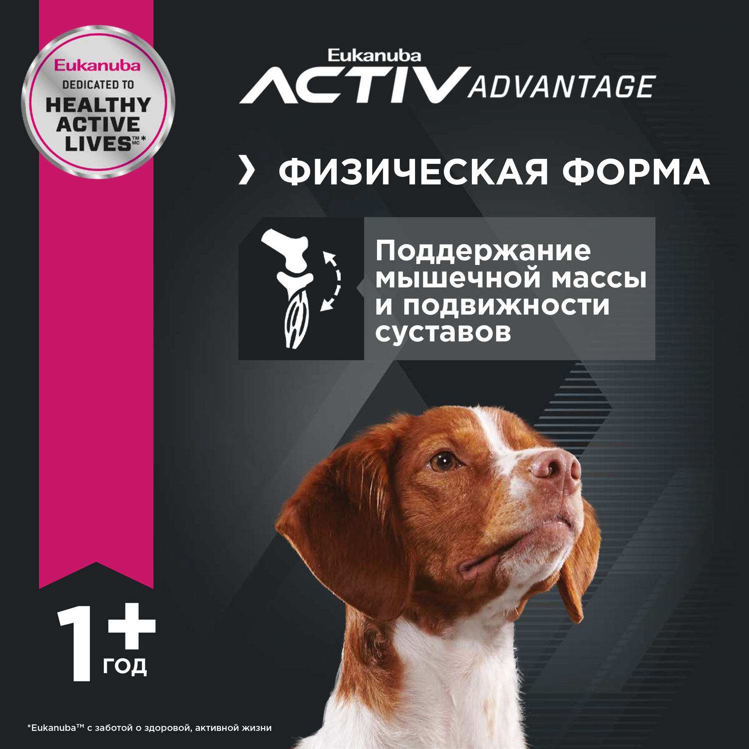 Корм для собак Eukanuba 2.5кг Dog с ягненком для всех пород - фото 3