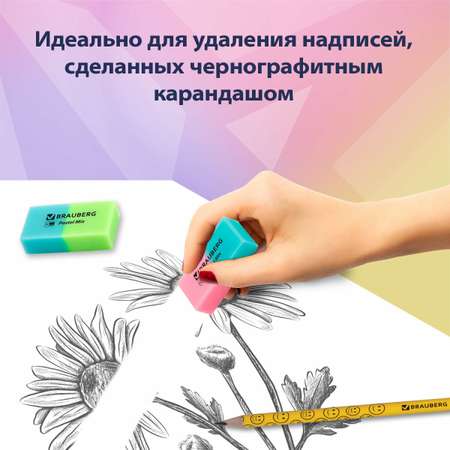 Набор ластиков Brauberg Pastel Mix 6шт ассорти