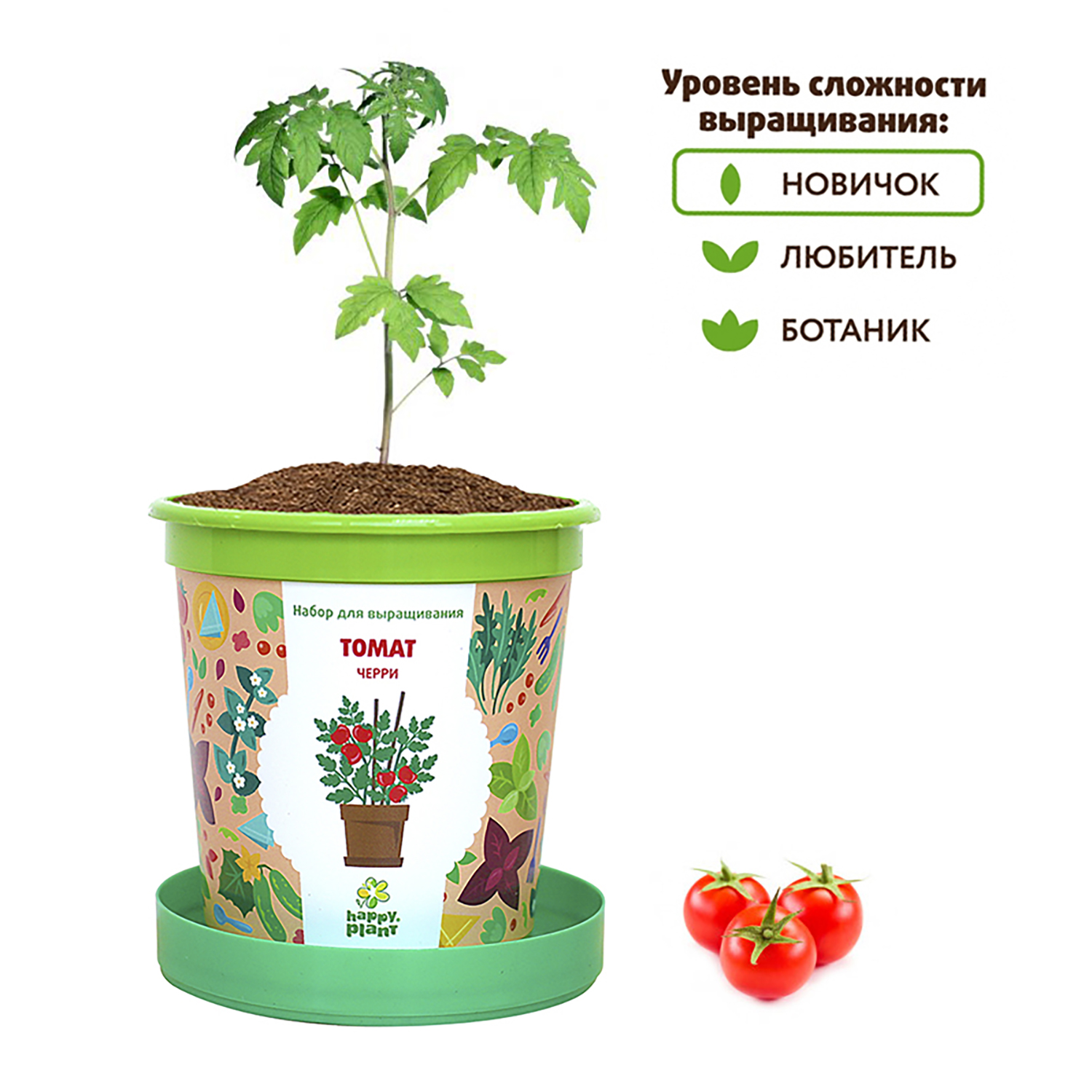 Набор для выращивания Happy Plant Вырасти сам растение в горшочке Томат  черри купить по цене 335 ₽ в интернет-магазине Детский мир