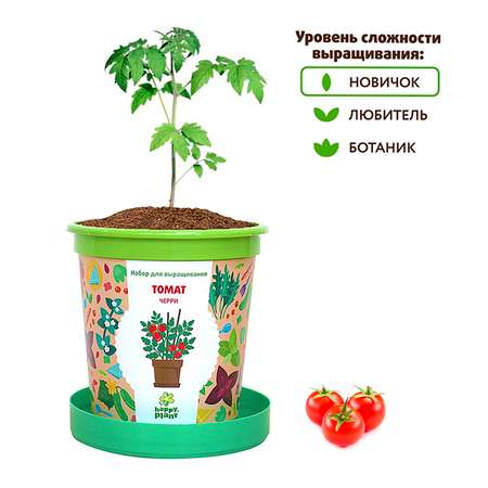 Набор для выращивания Happy Plant Вырасти сам растение в горшочке Томат черри