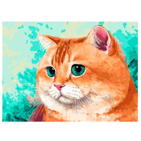 Картина по номерам Цветной Упитанный кот 40x50 см