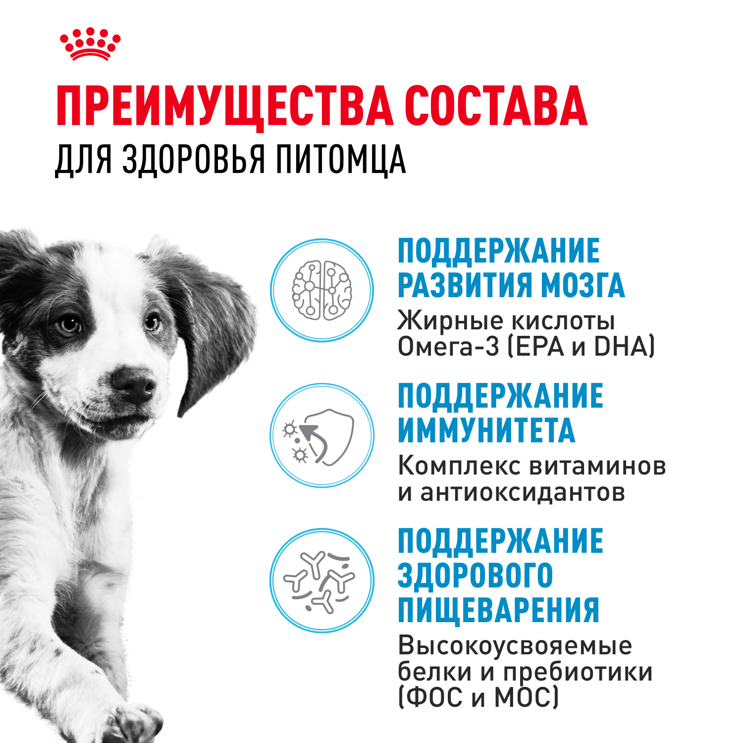 Корм для щенков ROYAL CANIN средних пород 2-12 месяцев 3кг - фото 3