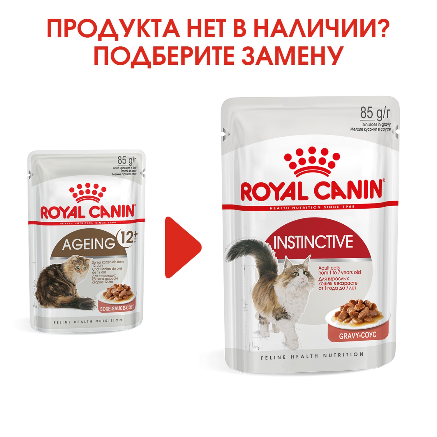 Влажный корм для кошек ROYAL CANIN 0.085 кг (полнорационный) - фото 6