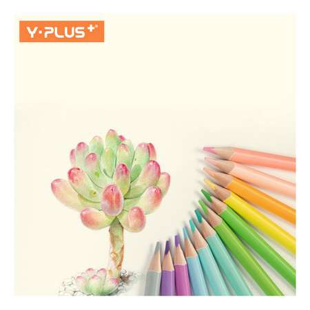 Карандаши цветные Y-plus пастельные Rainbow Pastel трехгранные утолщенные 12 цветов и точилка