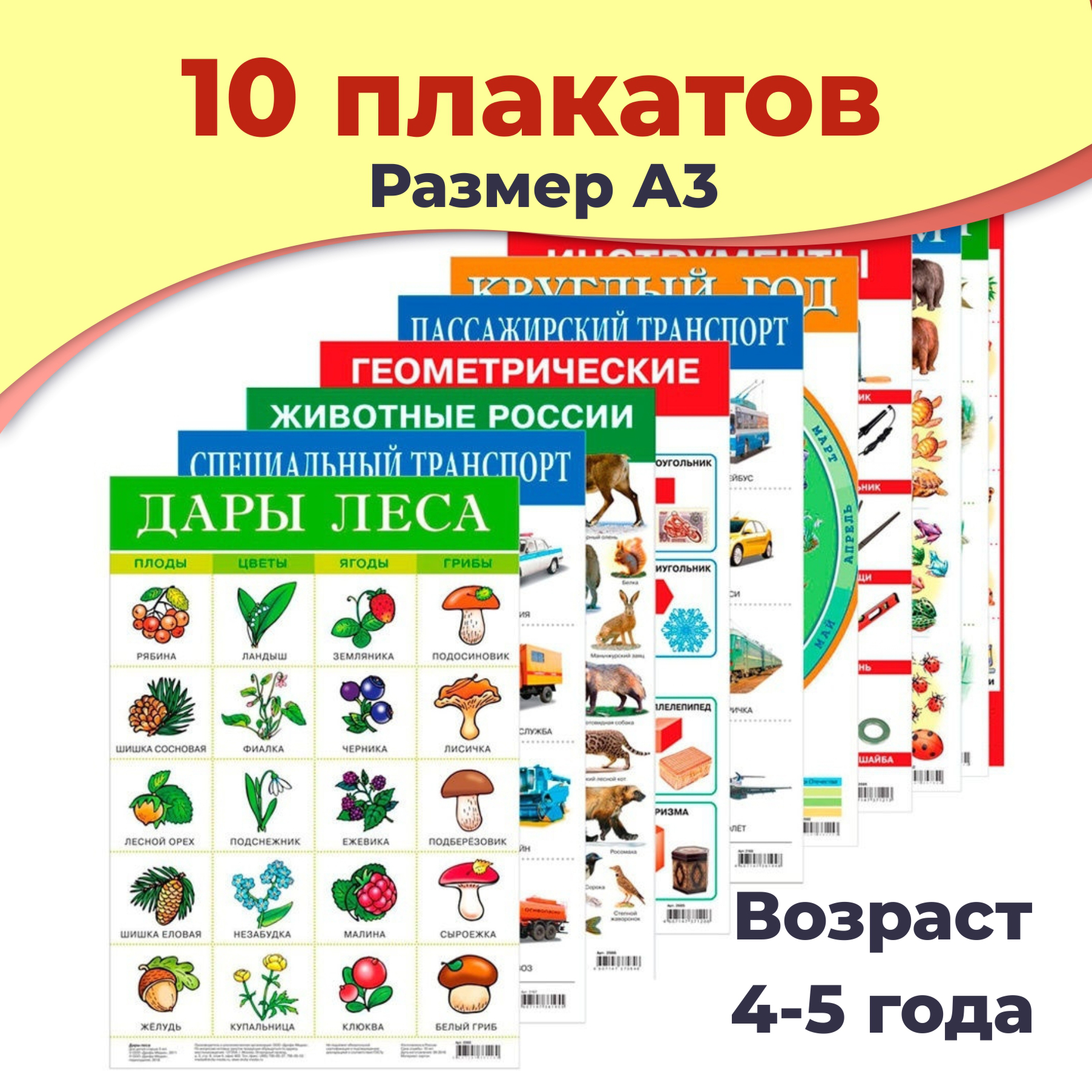 Набор обучающих плакатов Дрофа-Медиа Возраст 4-5 лет 10 видов 3961 купить  по цене 647 ₽ в интернет-магазине Детский мир