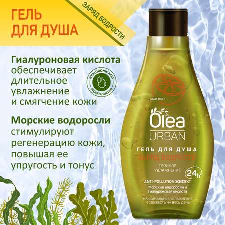 набор CITRUS COLLECTION URBAN OLEA Гель для душа и крем для рук