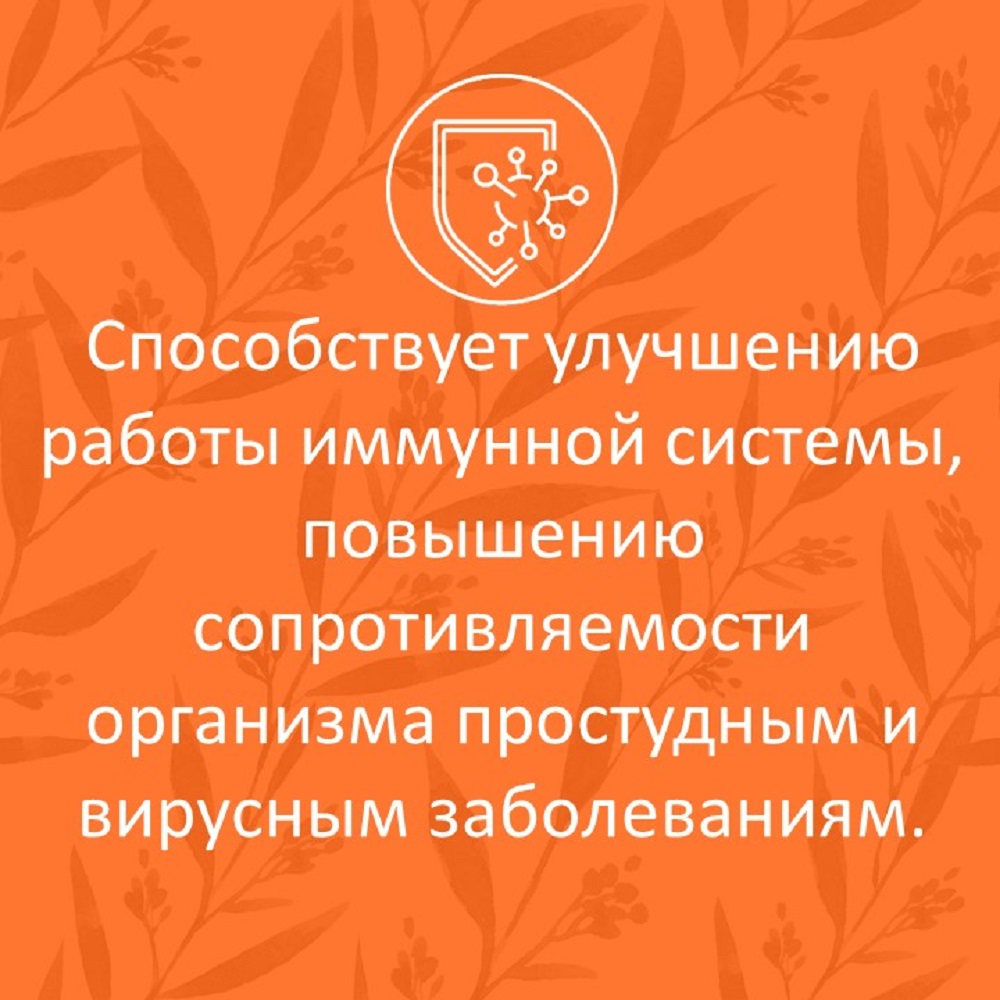 Сироп имбирный ФИТА-ВИТА-МИКС Премиум с куркумой и пиперином 290 мл - фото 4