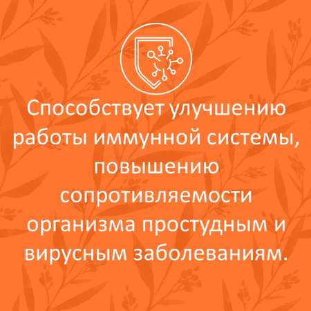 Сироп имбирный ФИТА-ВИТА-МИКС Премиум с куркумой и пиперином 290 мл