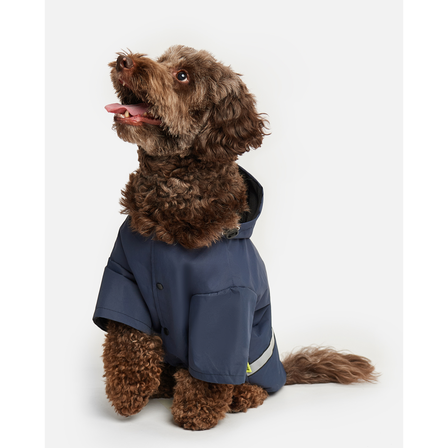 Куртка-дождевик для собак Зоозавр тёмно-синяя 55 - фото 1