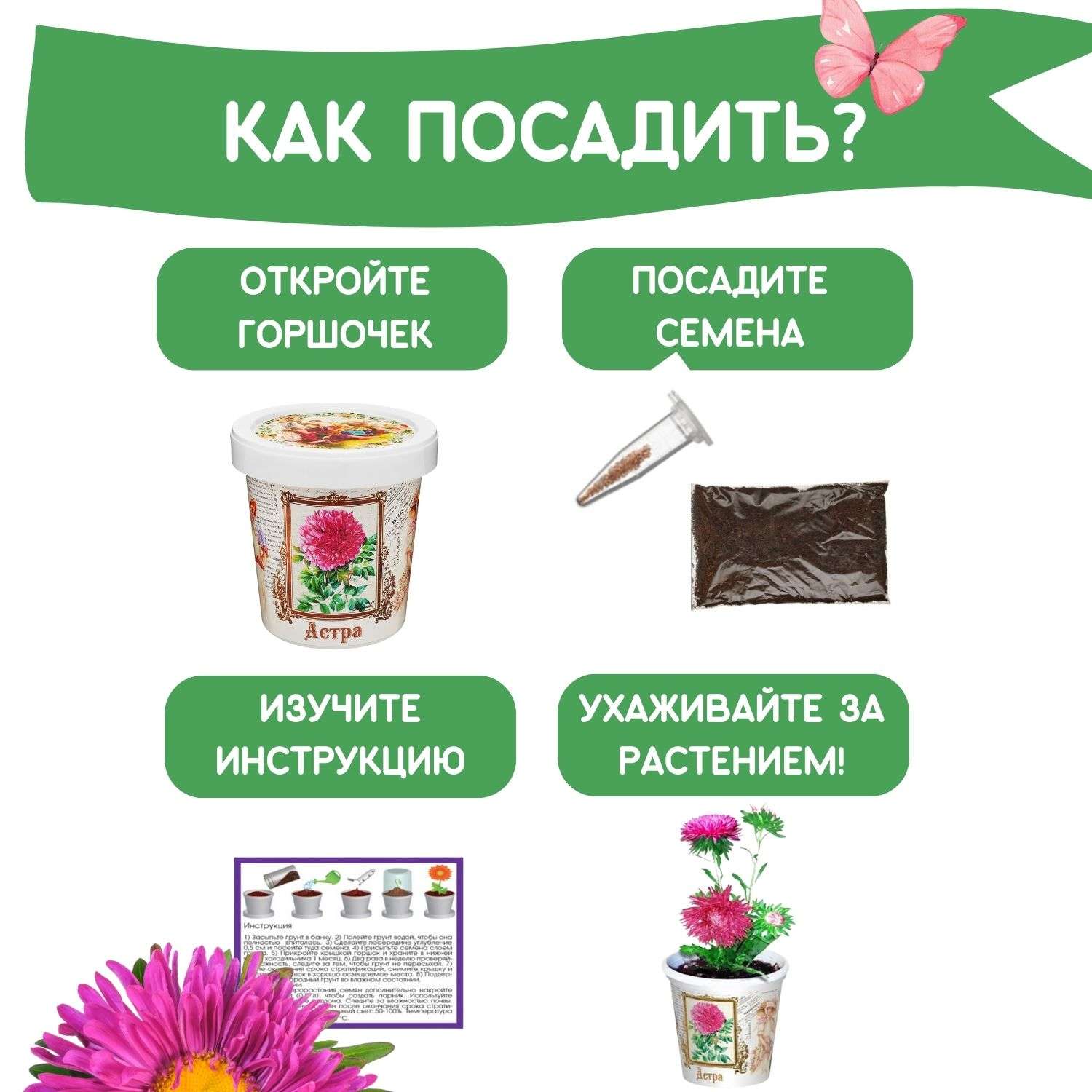 Набор для выращивания растений Rostok Visa Вырасти сам цветок Астра в подарочном горшке - фото 4