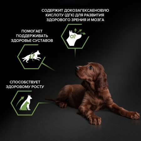 Корм для щенков PRO PLAN для крупных пород с атлетическим телосложением с комплексом Optistart курица с рисом 12кг