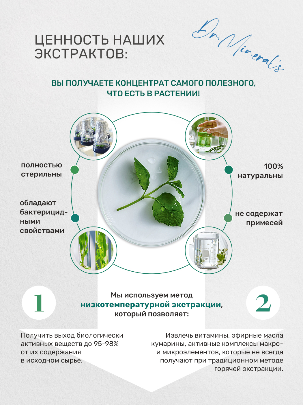 Шампунь для волос Dr.Minerals Стимуляция роста - сила и питание 400 мл - фото 6