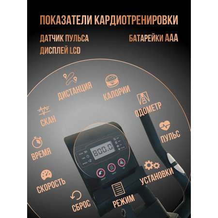 Велотренажёр магнитный Perfetto Sport Compatto PS-800