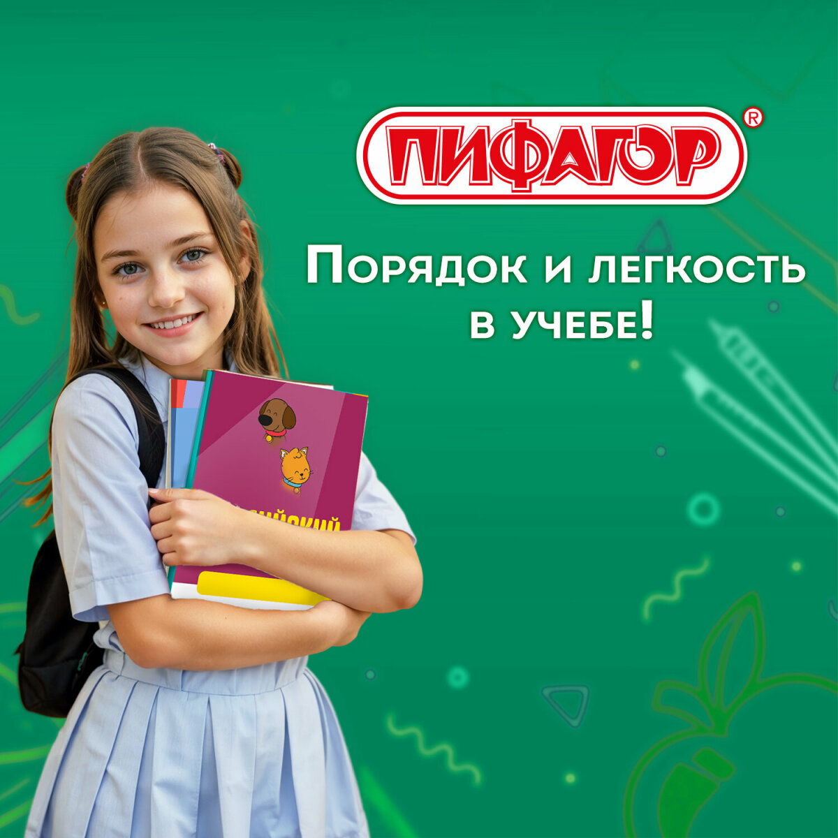 Обложка Пифагор 11 шт. - фото 7
