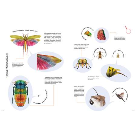 Книга Махаон Насекомые в натуральную величину