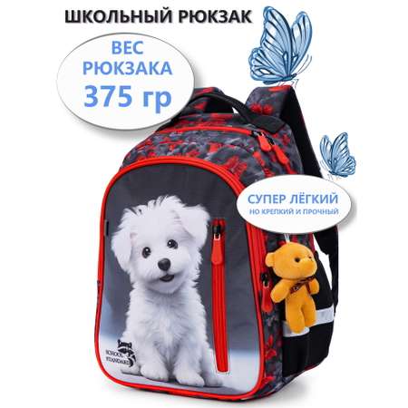 Рюкзак школьный School Standard анатомическая спинка