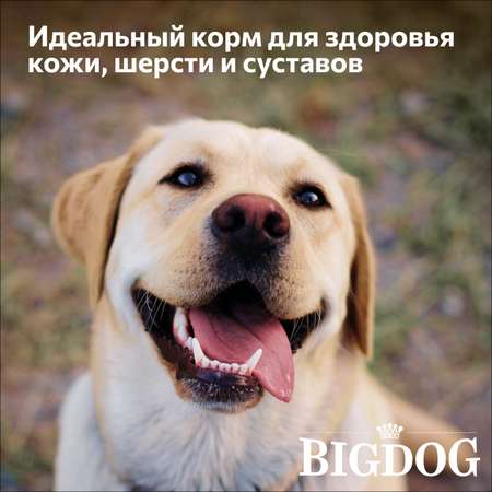 Корм сухой Зоогурман полнорационный для взрослых собак средних и крупных пород Big dog Говядина 5 кг