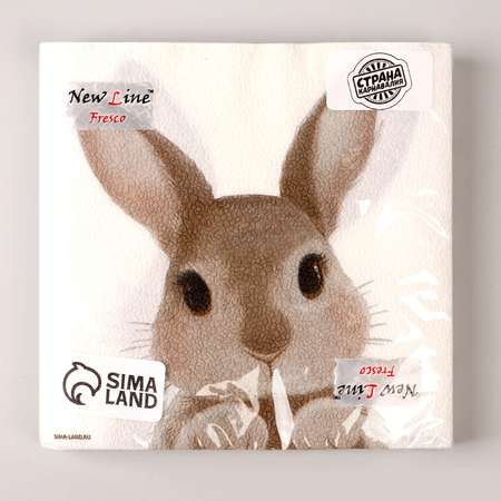 Салфетки Страна карнавалия бумажные однослойные «Кролик» 33 х 33 см набор 20 штук