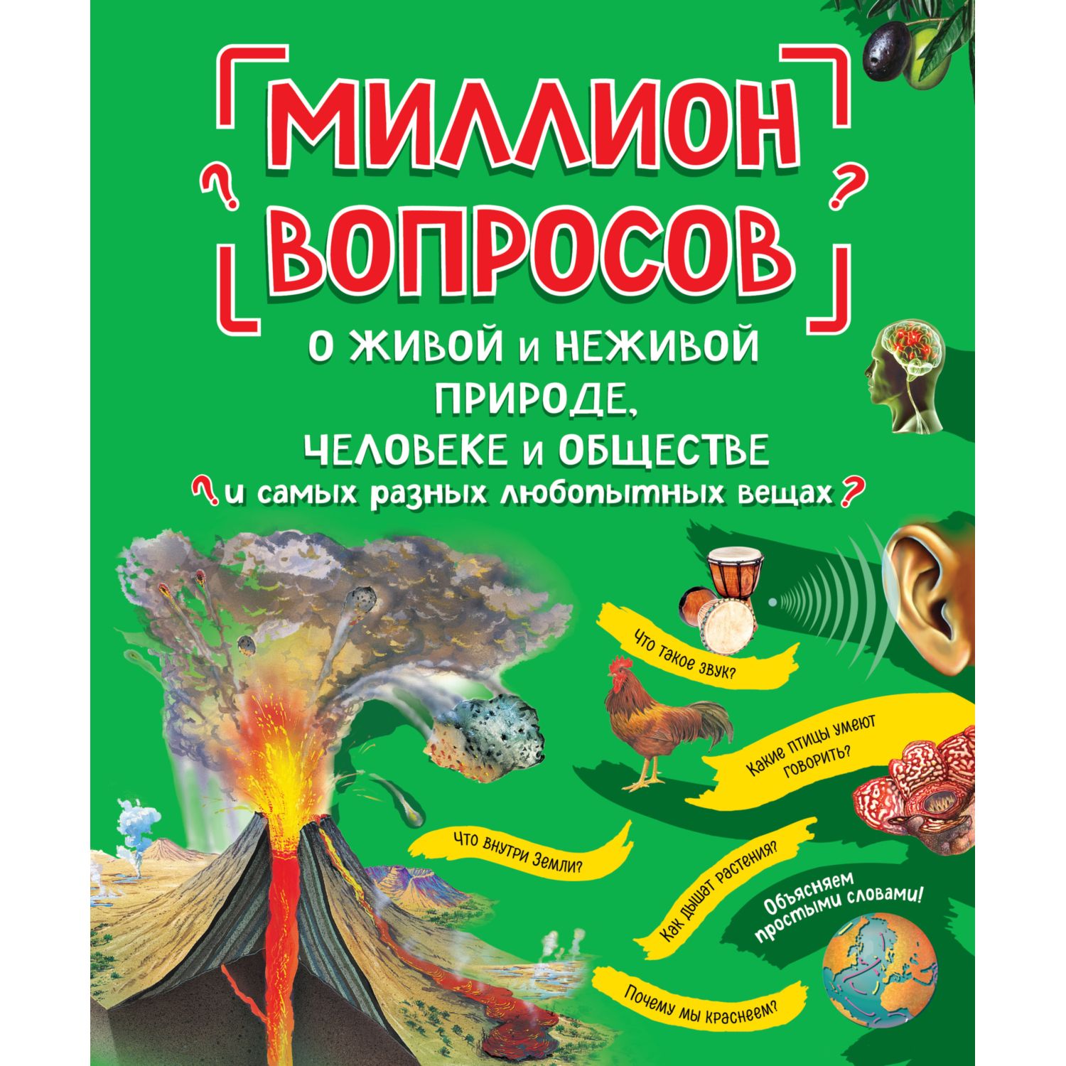 Книга Эксмо Миллион вопросов о живой и неживой природе человеке и обществе  и самых разных любопытных вещах купить по цене 1081 ₽ в интернет-магазине  Детский мир