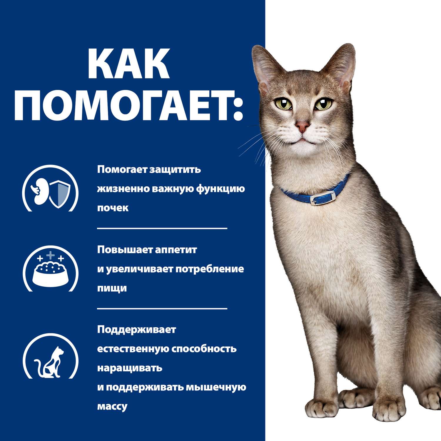 Корм для кошек HILLS 1.5кг Prescription Diet k/d Kidney Care для здоровья почек с тунцом сухой - фото 4