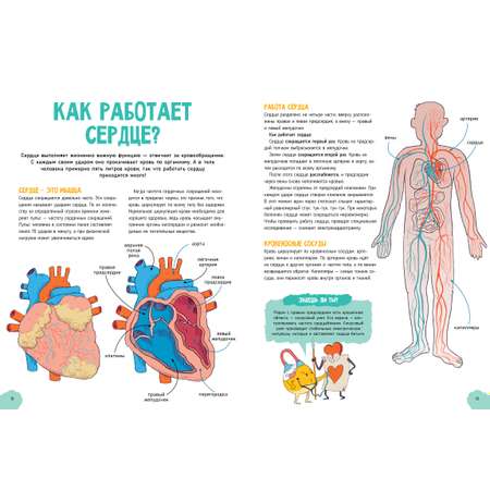 Книга Clever Издательство Удивительные энциклопедии. Невероятное тело человека Валло Д.