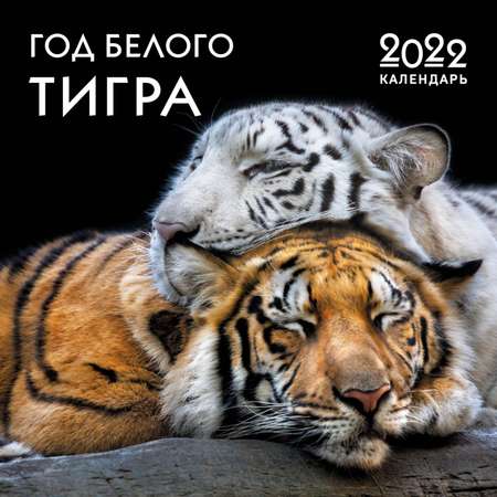 Календарь ЭКСМО-ПРЕСС настенный 2022