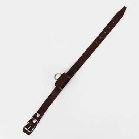 Ошейник Пижон кожаный тройной с ручкой 57 х 2.5 см ОШ 35-45 см коричневый