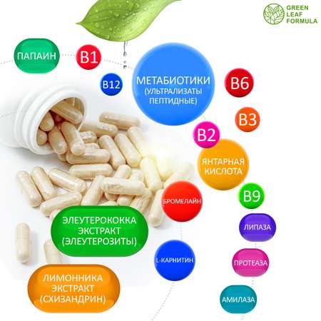 Метабиотик для кишечника Green Leaf Formula ферменты для пищеварения L-карнитин для сжигания жира для иммунитета