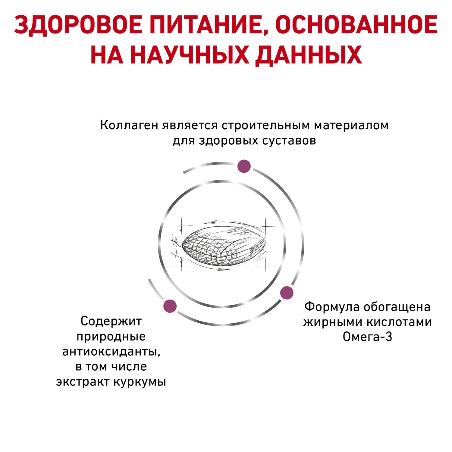 Корм для собак ROYAL CANIN Mobility c2p+ при заболеваниях oпорно-двигательного aппарата 12кг - фото 4