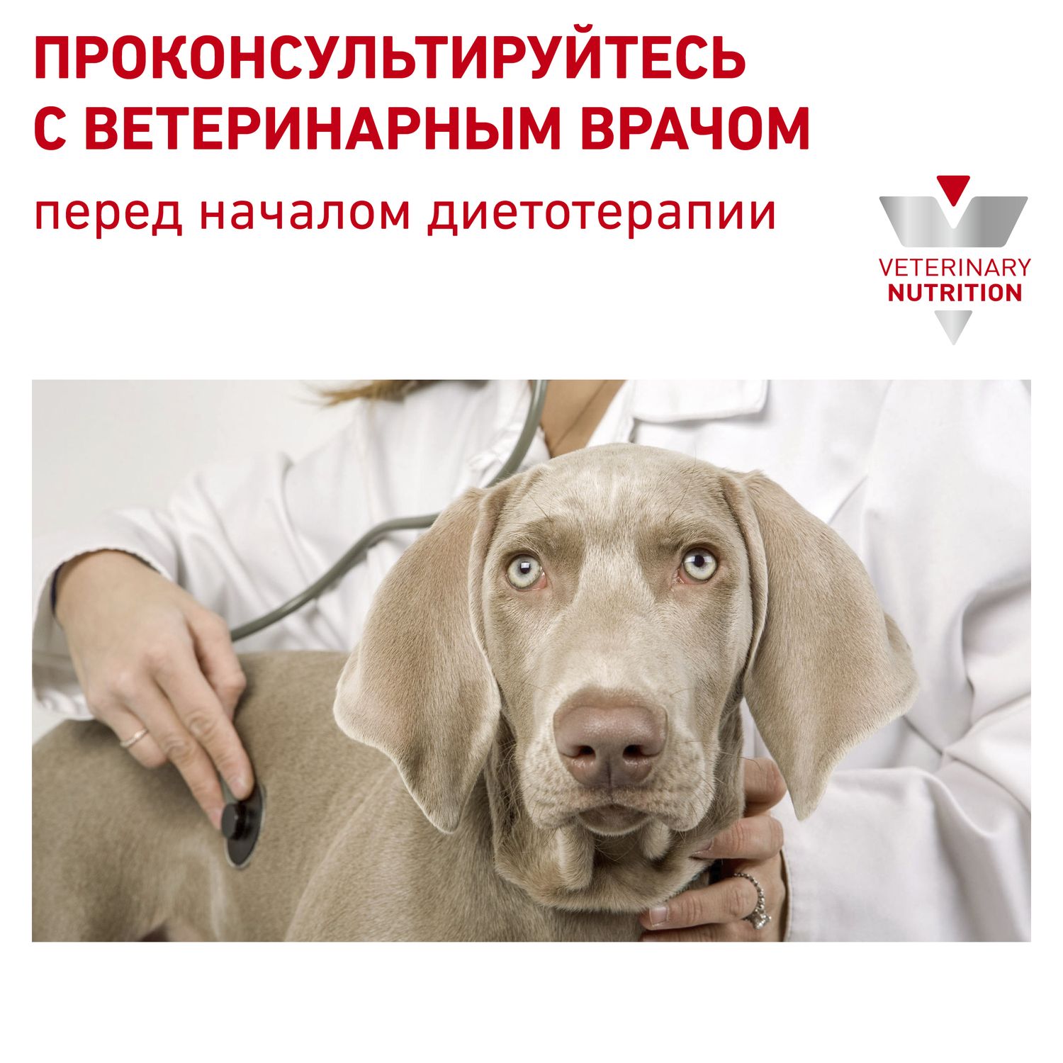 Сухой корм для собак ROYAL CANIN Diabetic 1.5 кг (при диабете, лечебный) - фото 7