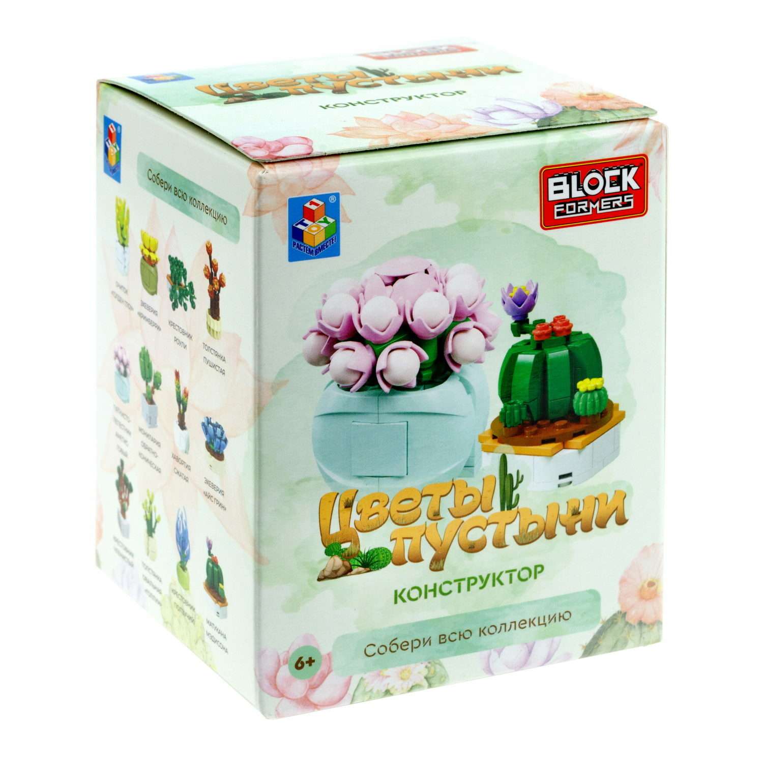 Игрушка- сюрприз Blockformers 1Toy конструктор Цветы пустыни в коробке - фото 1