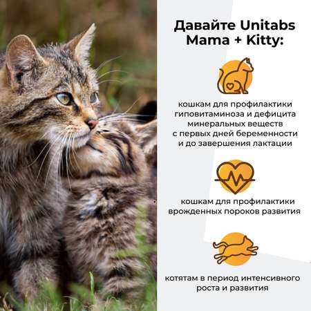Витамины для кошек Unitabs Mama+Kitty c B9 паста 120мл
