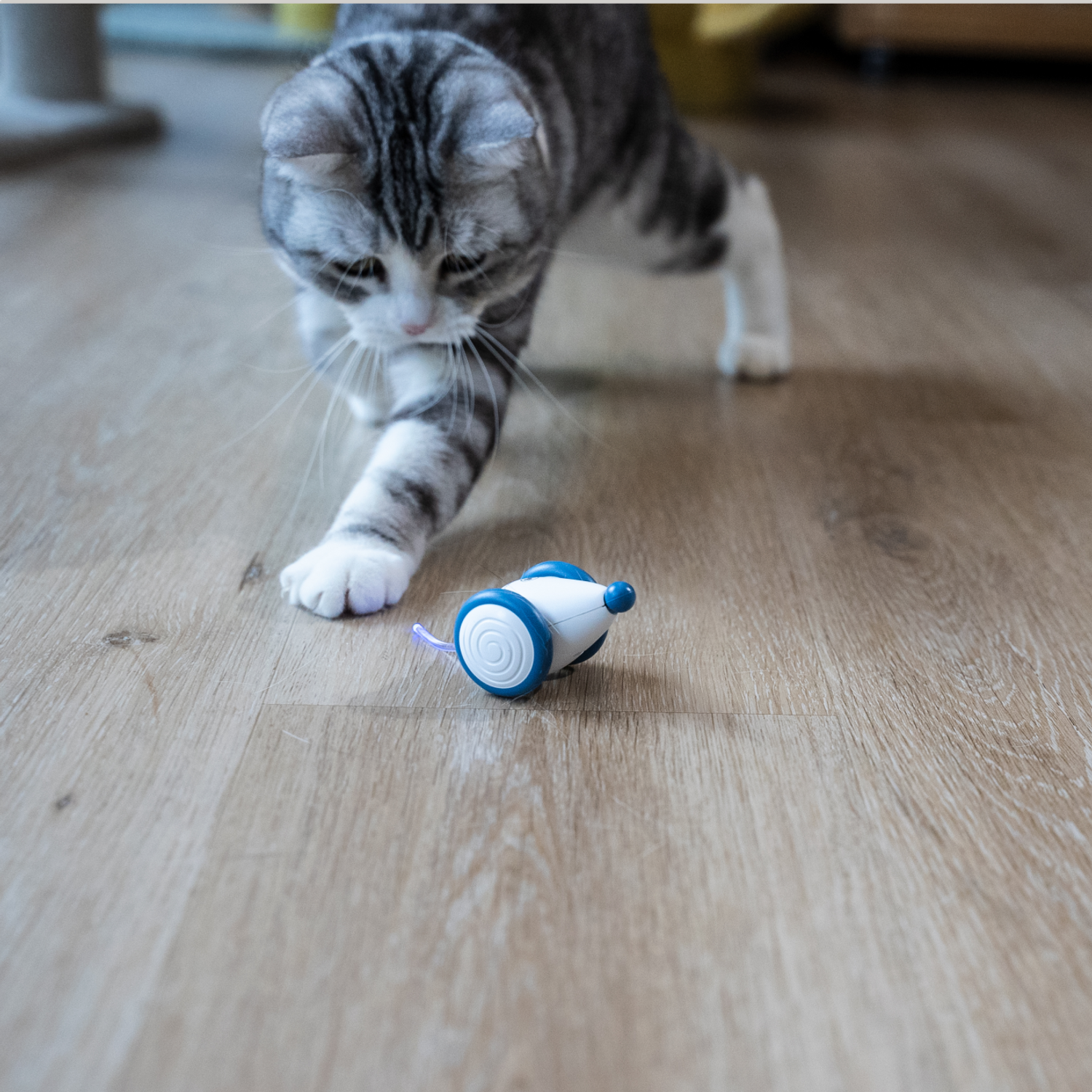 Интерактивная игрушка Cheerble мышка для кошки Wicked Mouse Prussian Blue - фото 4