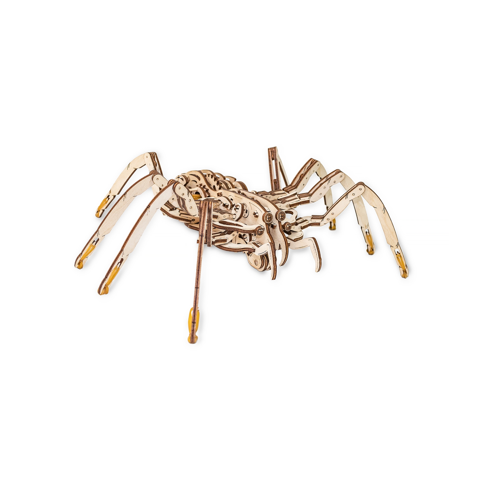 Конструктор Eco Wood Art (EWA) Spider Паук купить по цене 2390 ₽ в  интернет-магазине Детский мир