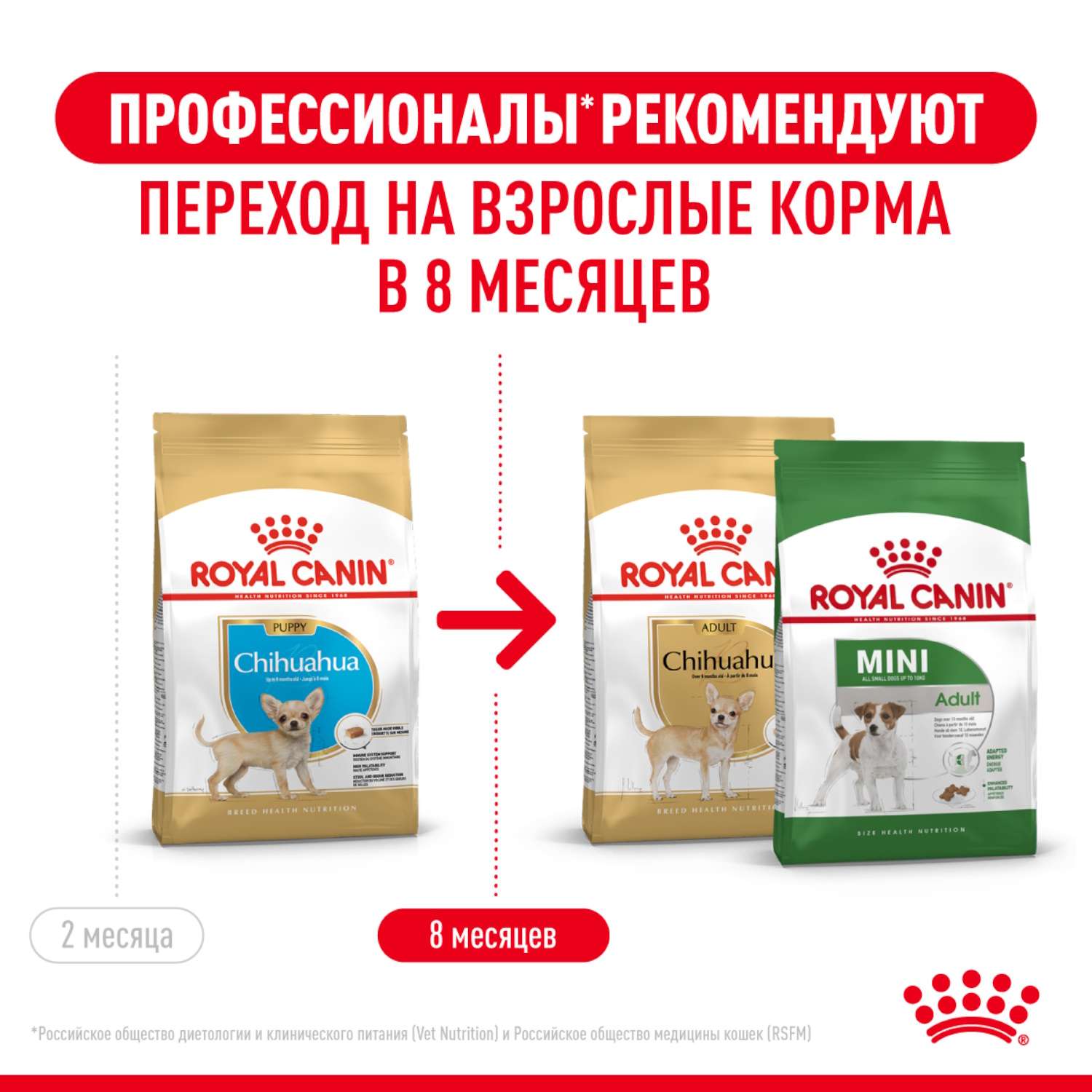 Корм для щенков ROYAL CANIN породы чихуахуа 500г - фото 5