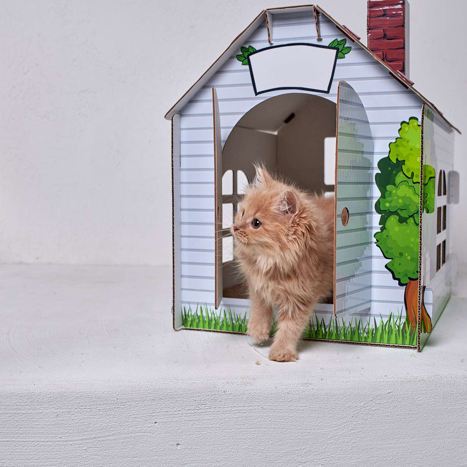 Домик MASKBRO улучшенный картонный для кошек и собак с когтеточкой матовый - фото 6