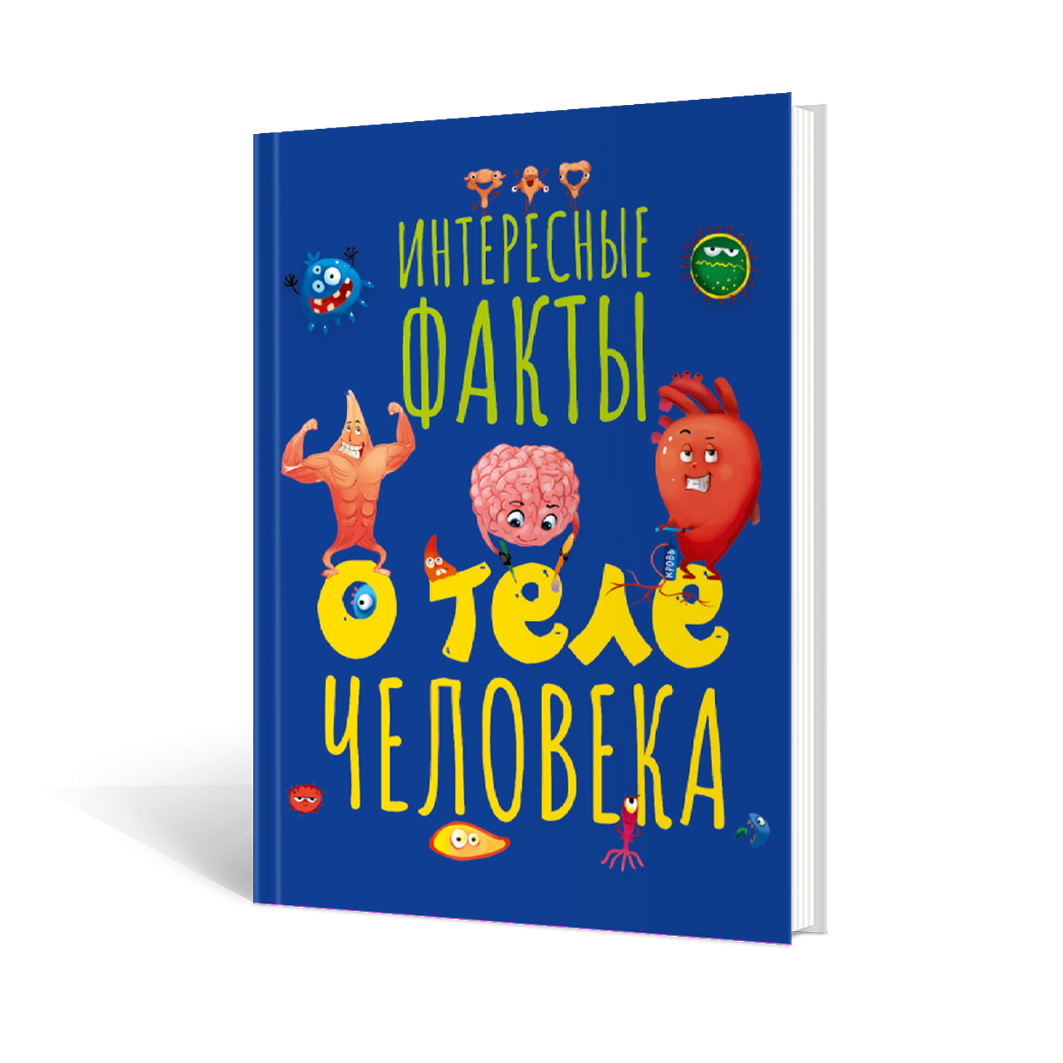 Книга Проф-Пресс Интересные факты о теле человека - фото 1