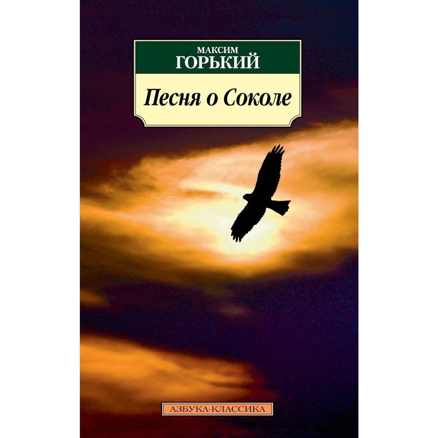 Книга АЗБУКА Песня о Соколе - фото 1