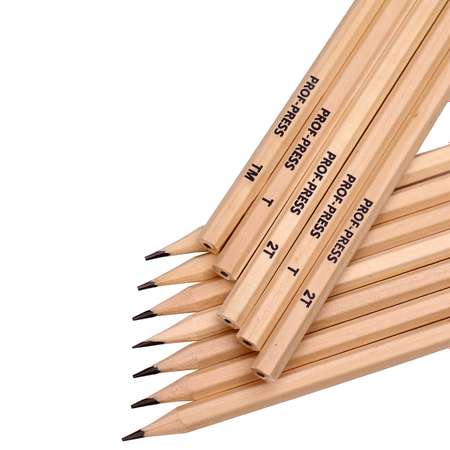 Набор карандашей Prof-Press чернографитных для черчения деревянных 12 шт