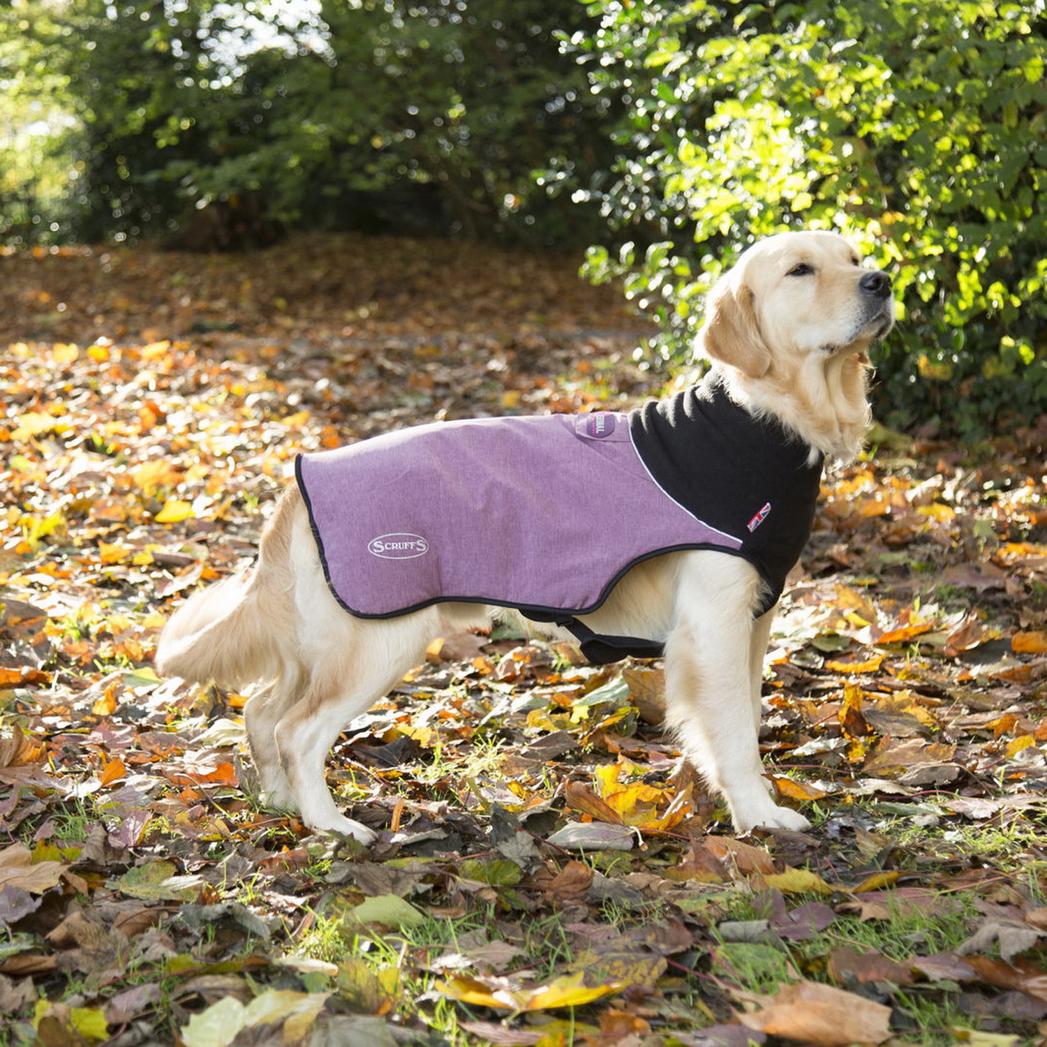 Попона согревающая SCRUFFS Thermal Dog Jacket - фото 5