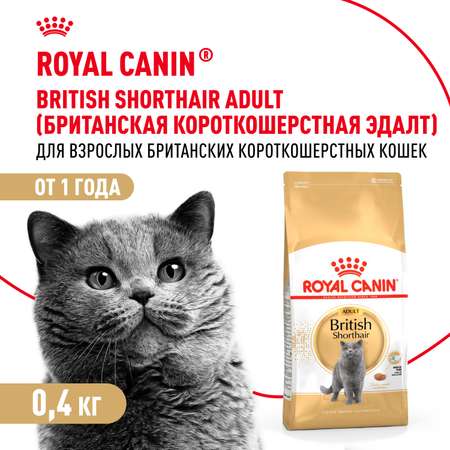 Корм сухой для котят ROYAL CANIN British Shorthair 400г породы британской короткошерстной