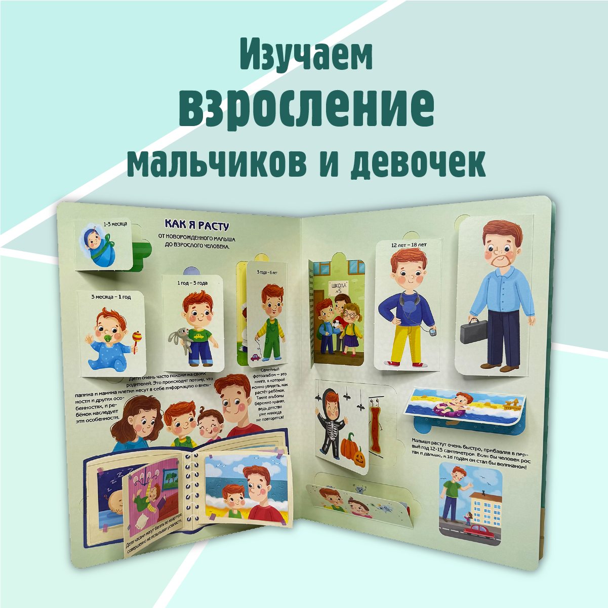 Энциклопедия с окошками BimBiMon книга детская - фото 2