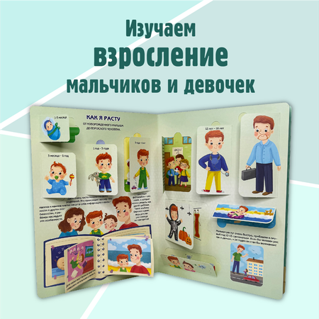 Энциклопедия с окошками BimBiMon книга детская