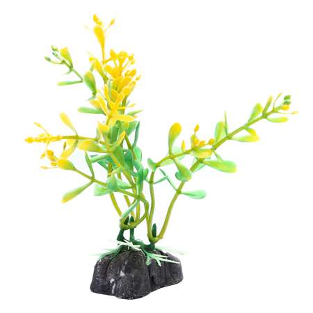 Растение PennPlax Moneywort с грузом 9см Оранжево-Зеленое PPBT12