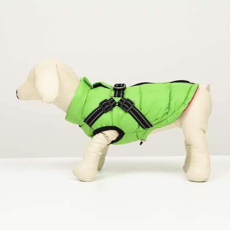 Куртка для собак Sima-Land со шлейкой салатовая