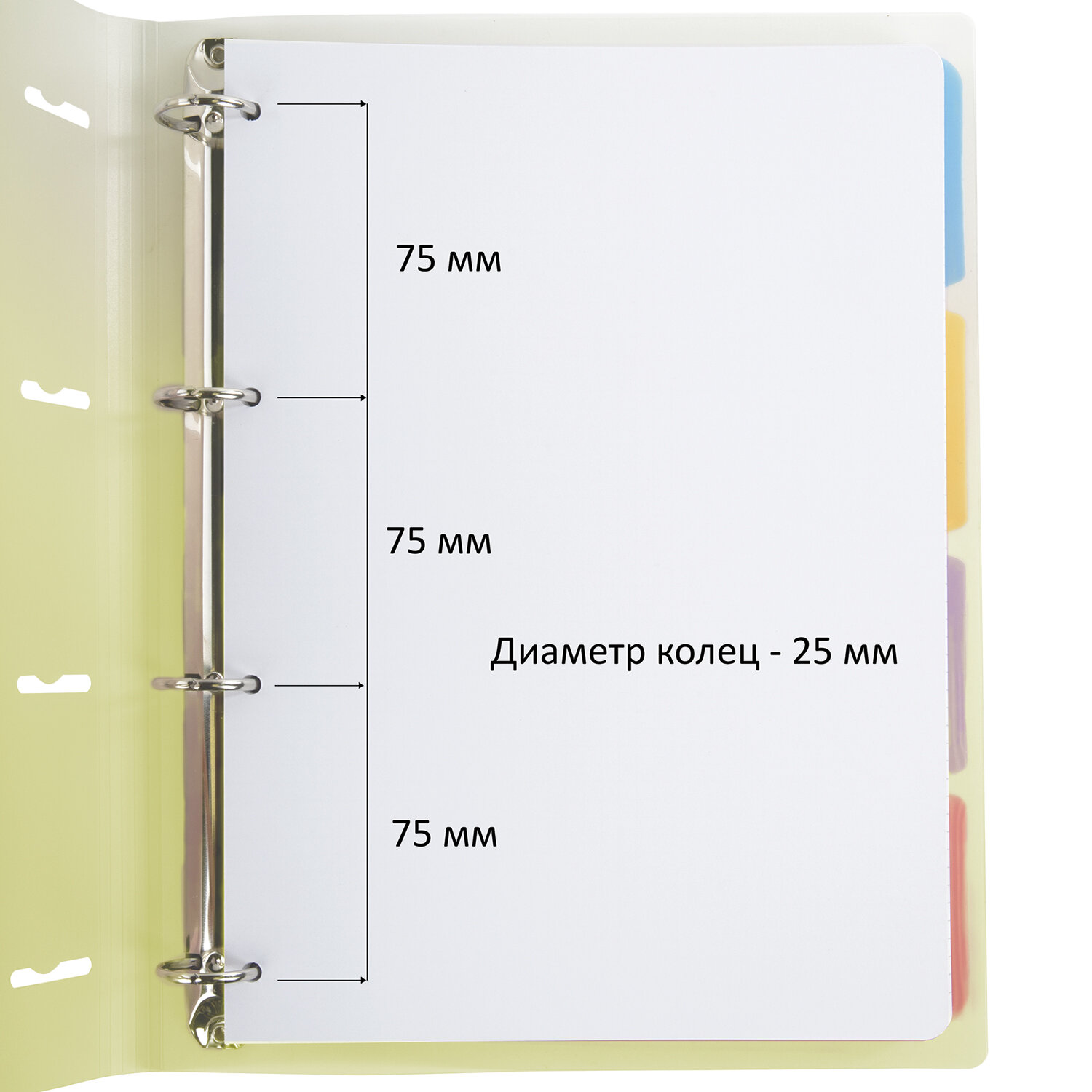 Тетрадь на кольцах Brauberg А4 со сменным блоком большая 120 листов с разделителями - фото 4