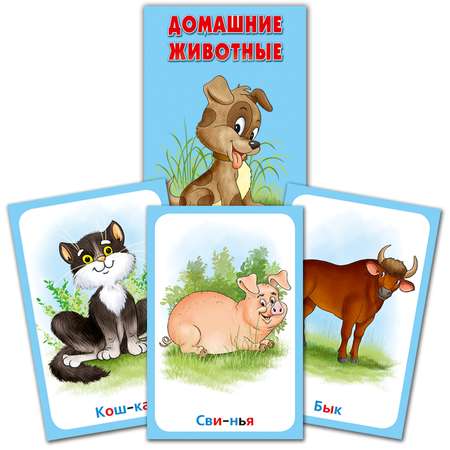 Набор карточек развивающих РУЗ Ко Домашние и дикие животные