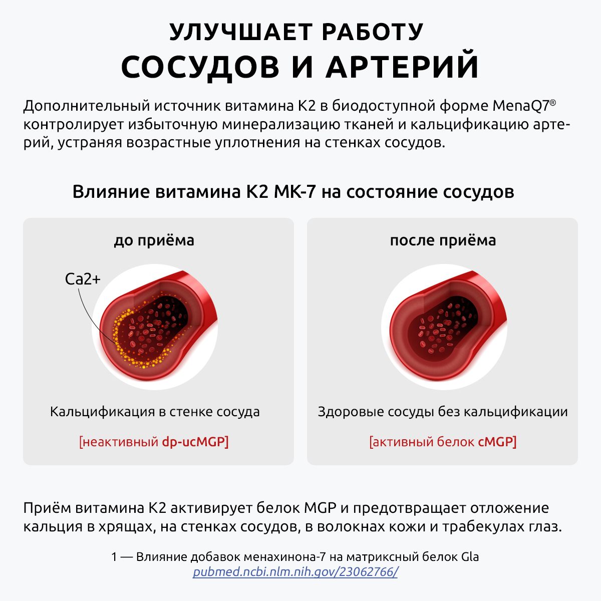 Витамин моно К2 МК-7 комплекс UltraBalance бад менахинон7 120 mcg Premium 120 капсул - фото 7