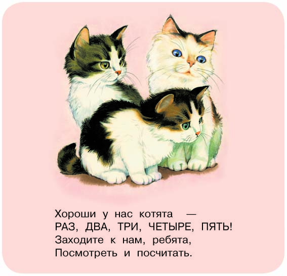 Книга АСТ Котята - фото 6